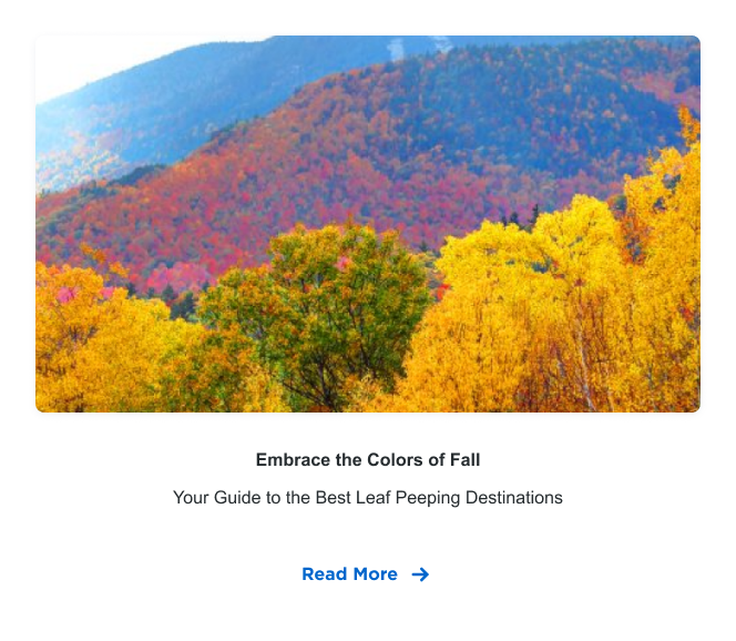 Embrace the Colors of Fall | Your Guide to the Best Leaf Peeping Destinations | Read More