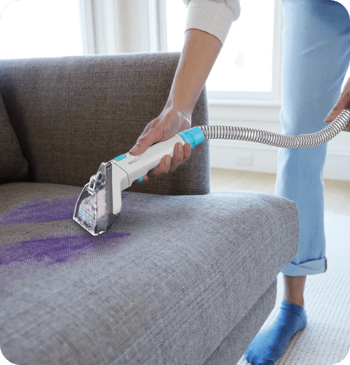 Shark StainStriker Portable Carpet & Upholstery Cleaner