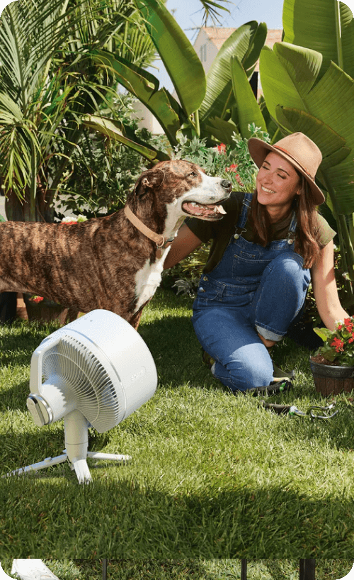 Shark FlexBreeze Fan With Misting Attachment