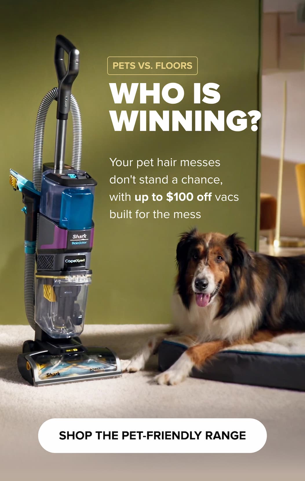 Pets vs. Floors. WHO is winning? Your pet hair messes don't stand a chance, with up to $100 off vacs built for the mess. Shop the pet-friendly range