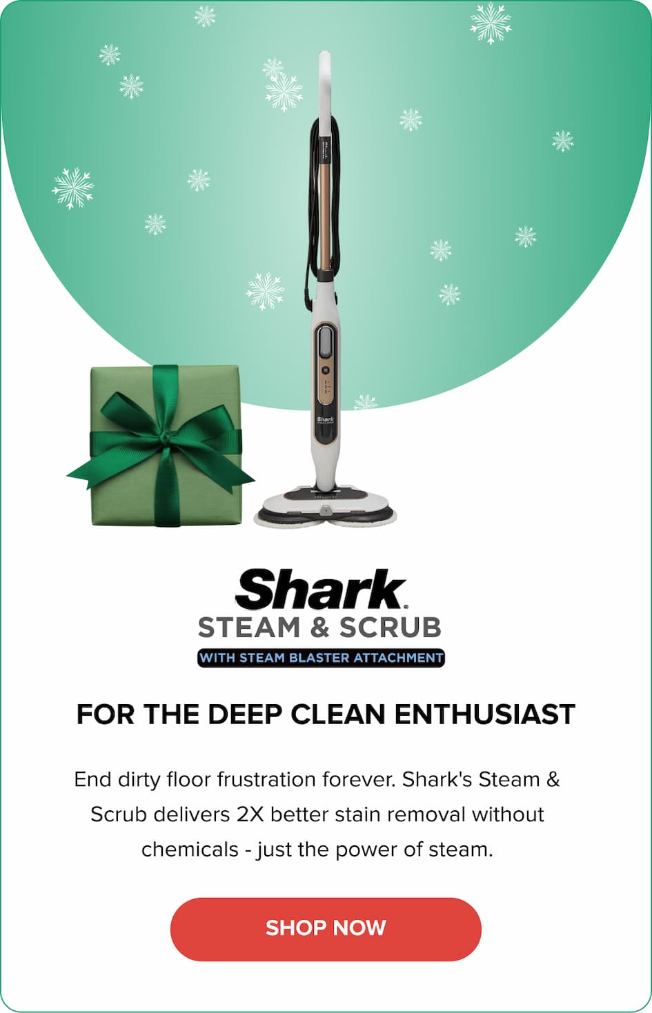 Shark Steam & Scrub with Steam Blaster