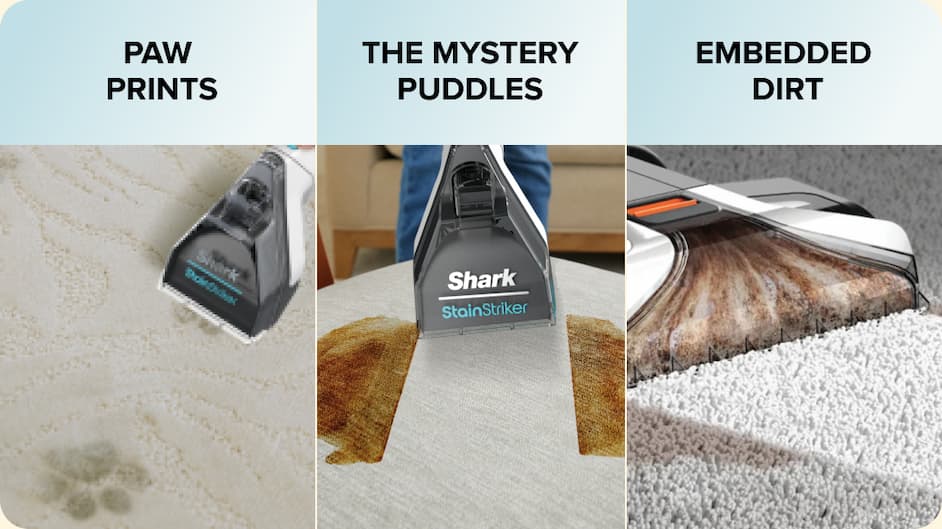 PAW  PRINTS - THE MISTERY PUDDLES - EMBEDDED  DIRT