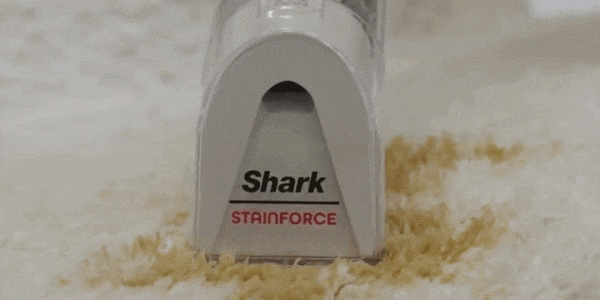 SHARK STAINFORCE CLEANING A CARPET