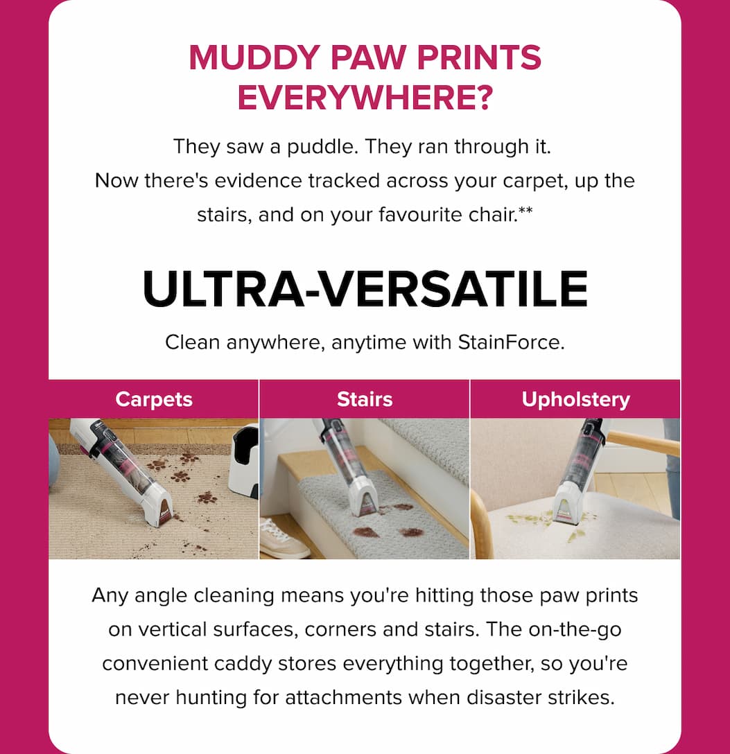 Muddy paw prints everywhere? StainForce handles it all — carpets, stairs, upholstery. Ultra-light, any-angle cleaning for vertical surfaces and tight spots. On-the-go caddy keeps attachments ready when disaster strikes.