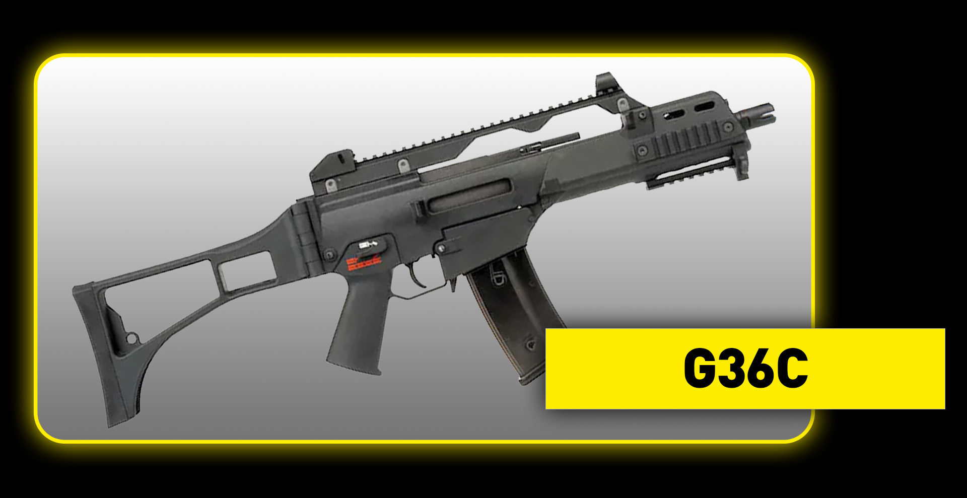 G36