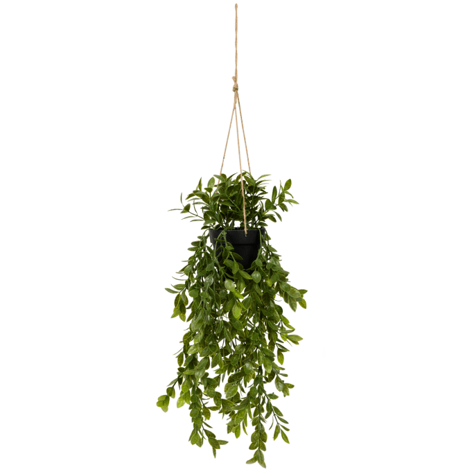 
Kunstplanten & -bloemen
