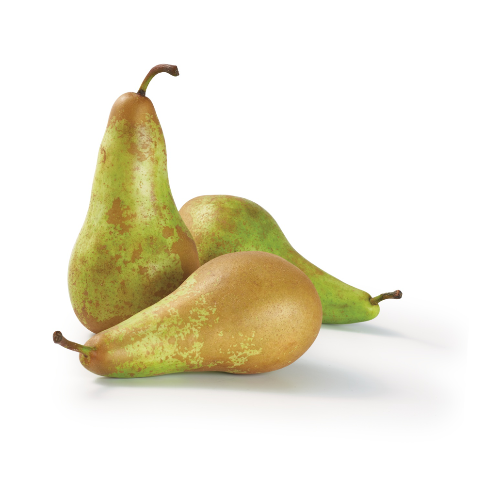 Körte Conference lédig