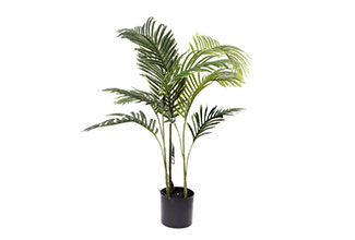 עץ דקל 9 עלים