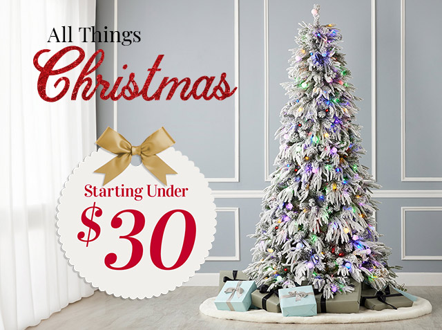 521-894 | All Things Christmas - Starting Under $30!