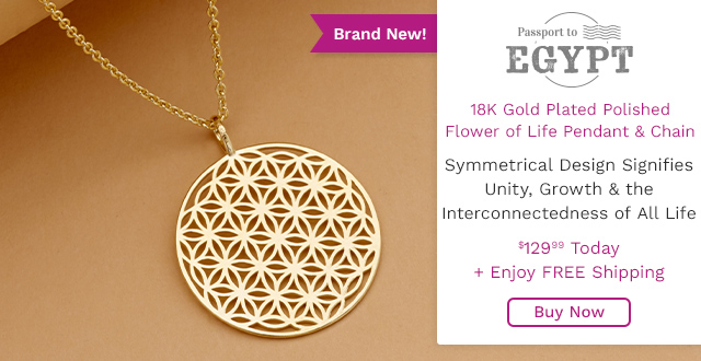 215-900 | Passport to Egypt 18K Gold Plated Polished Flower of Life Pendant w/ Chain