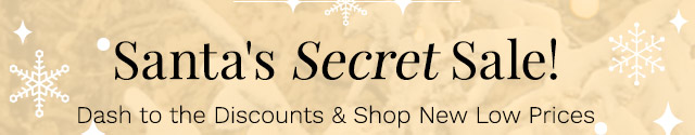 Santa's Secret Sale! | Dash to the Discounts & Shop New Low Prices