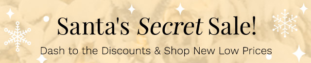 Santa's Secret Sale! | Dash to the Discounts & Shop New Low Prices