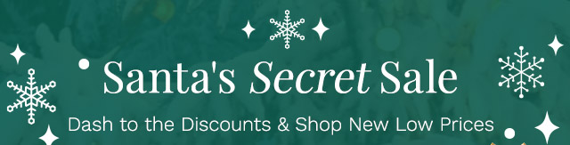 Santa's Secret Sale! | Dash to the Discounts & Shop New Low Prices