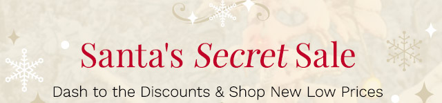 Santa's Secret Sale! | Dash to the Discounts & Shop New Low Prices