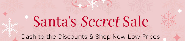 Santa's Secret Sale! | Dash to the Discounts & Shop New Low Prices