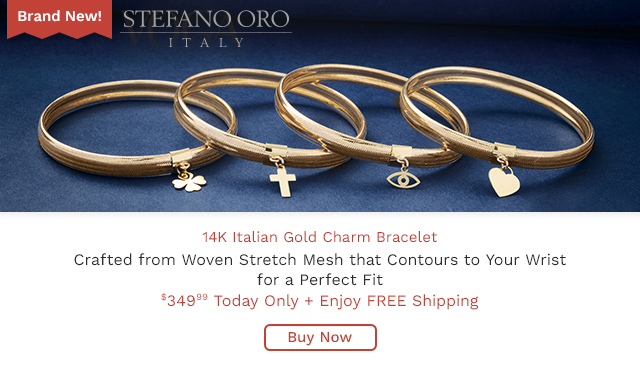 215-983 | Stefano Oro 14K Gold Polished Choice of Charm 7mm Stretch Mesh Bracelet