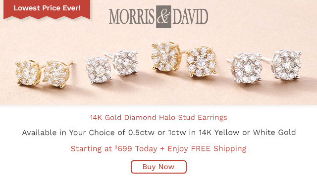 214-692 | Morris & David 14K Gold Choice of Carat Weight Diamond Halo Stud Earrings