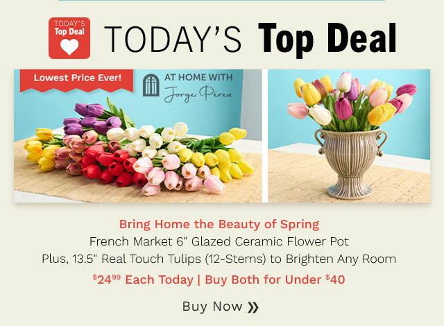 521-261 & 522-629 | At Home w/ Jorge Pérez French Market 6" Glazed Ceramic Flower Pot & 13.5" Real Touch Tulips (12-Stems)