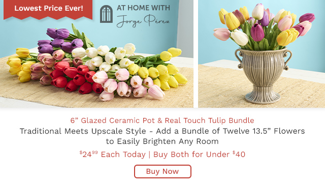 521-261, 522-629 | At Home w/Jorge 6" Glazed Ceramic Pot & Choice of Real Touch Tulip Bundle