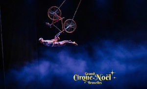 1 place pour le Grand Cirque Alexandre Bouglione de Noël à Bruxelles