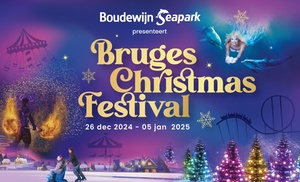 Bruges Christmas Festival: shows en attracties voor jong en oud