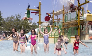 Duik in het familieplezier met een dagje dolfinarium
