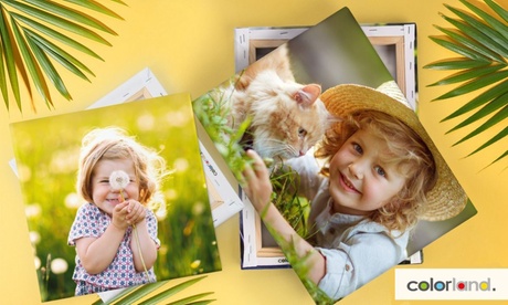 Foto op canvas via Colorland Foto op canvas via Colorland