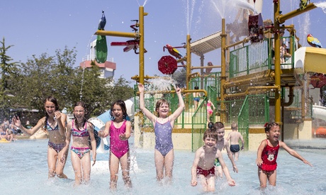 Duik in het familieplezier met een dagje dolfinarium Duik in het familieplezier met een dagje dolfinarium