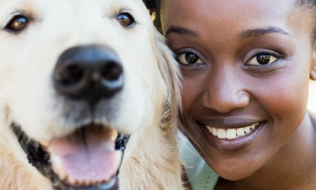 Training: huisdiertraining en verzorging