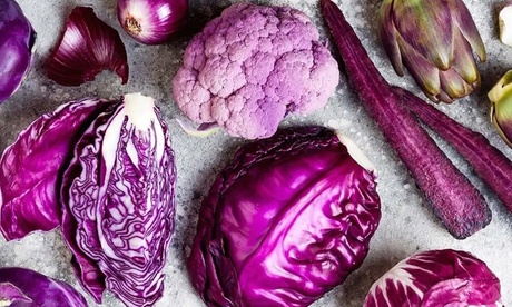 Formation en Permaculture