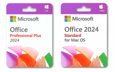 Microsoft Office Professional Plus 2024 ou Office Standard 2024