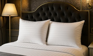 Oreillers, Plumes Palace, Plumes et duvet, Sampur