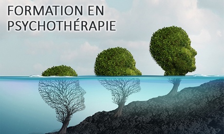 Formation complète aux fondamentaux de la psychothérapie Formation complète aux fondamentaux de la psychothérapie