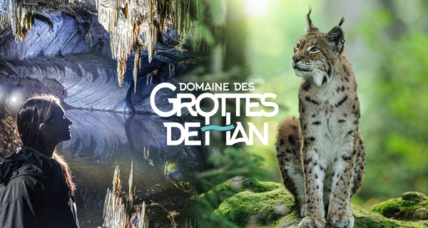 Le Domaine des Grottes de Han : visitez le centre de la terre et la nature sauvage ! (jusqu'à 25% de remise)