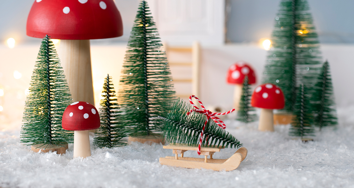 Count down to Christmas with the elf