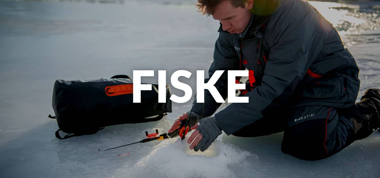 Fiske