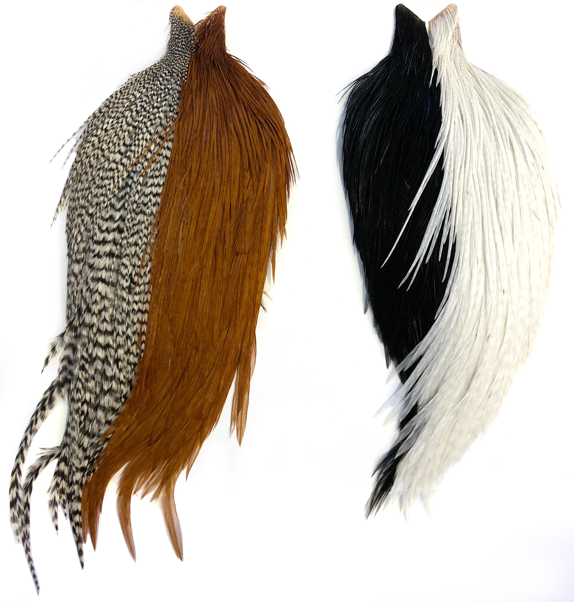 Whiting Intro Hackle Pack 4 Halve Nakker