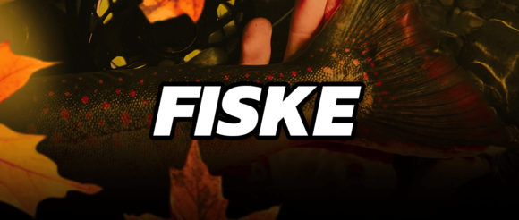 Fiske