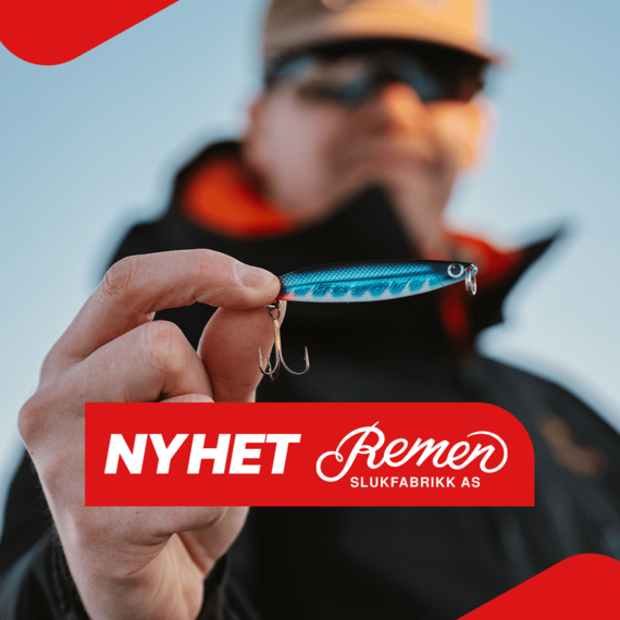 Møresilda fra Remen