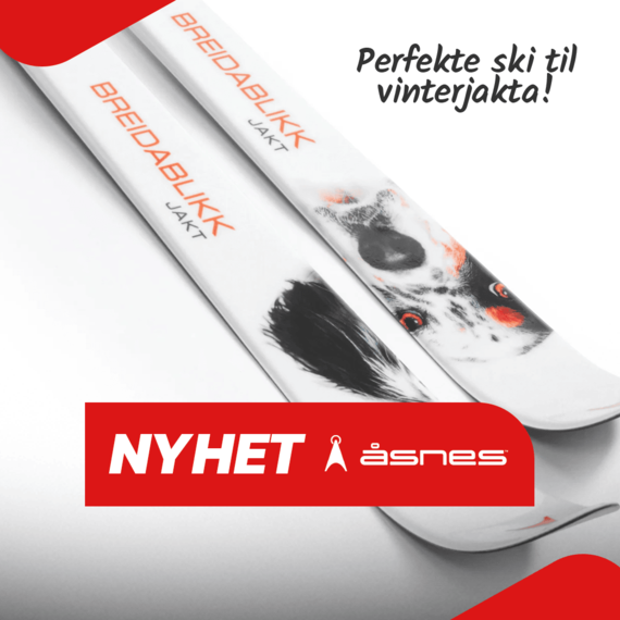 Breidablikk fra Åsnes