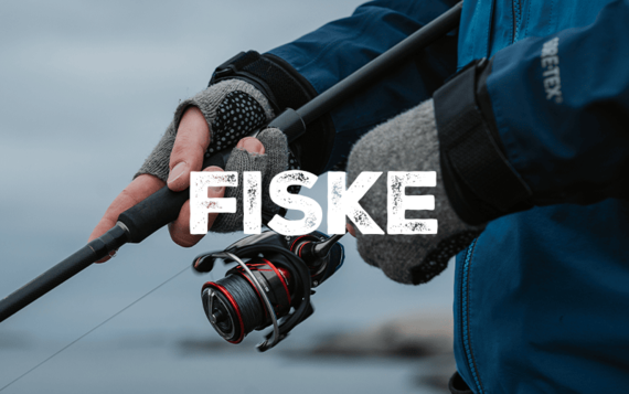 Fiske