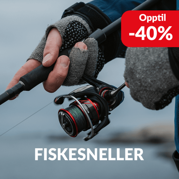 Fiskesneller