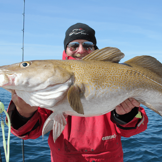Seeberg om skreifiske