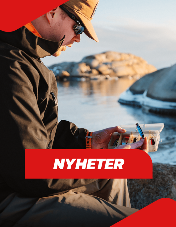 Nyheter