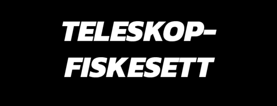 Teleskopfisksesett
