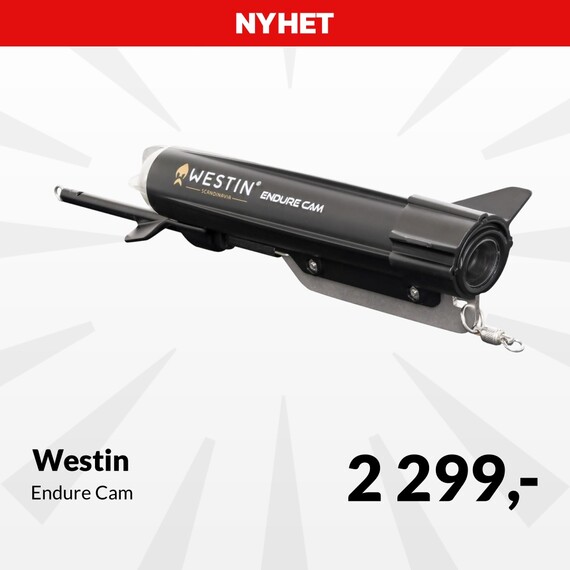 Westin Endure Cam