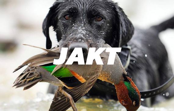 Jakt