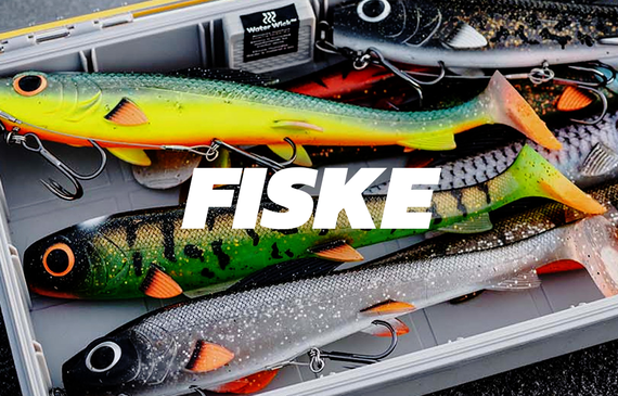 Fiske