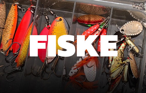 Fiske
