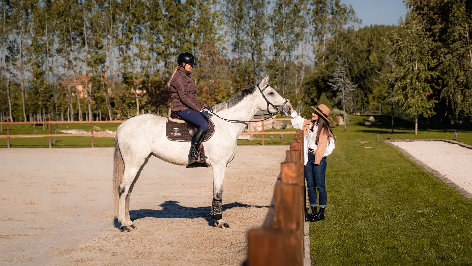 ПРОМО BF Делнична спа ваканция с 2 нощувки, масаж и езда за двама